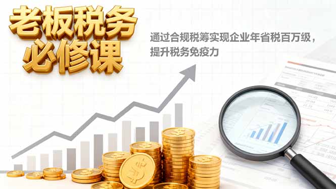 老板税务必修课，通过合规税筹实现企业年省税百万级，提升税务免疫力-躺赚星球